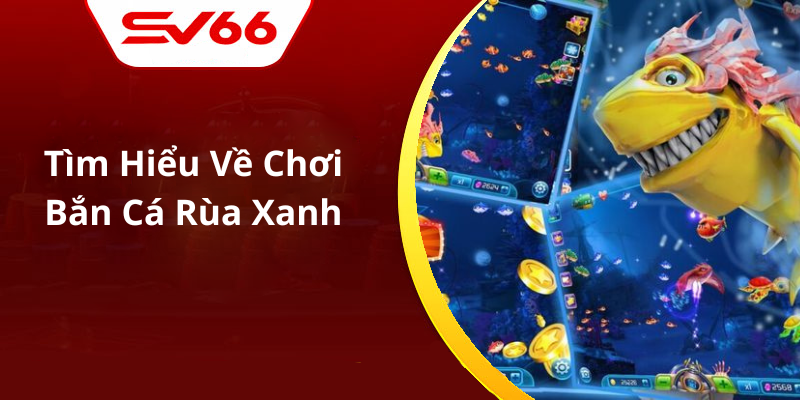 Tìm Hiểu Về Chơi Bắn Cá Rùa Xanh