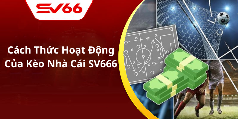 Cách Thức Hoạt Động Của Kèo Nhà Cái SV666