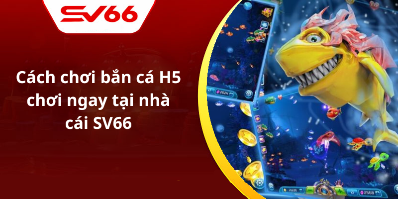 Cách chơi bắn cá H5 chơi ngay tại nhà cái SV66