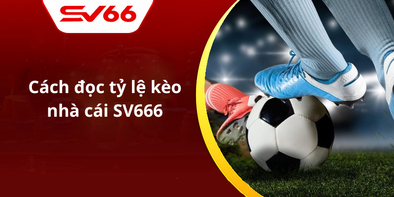 Cách đọc tỷ lệ kèo nhà cái SV666