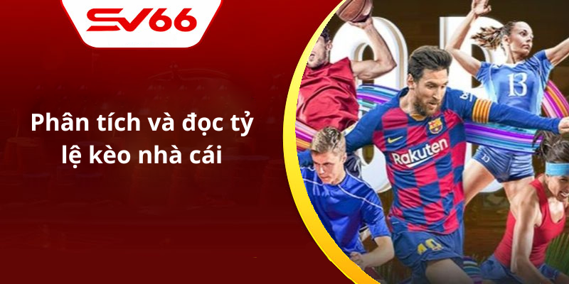 Phân tích và đọc tỷ lệ kèo nhà cái