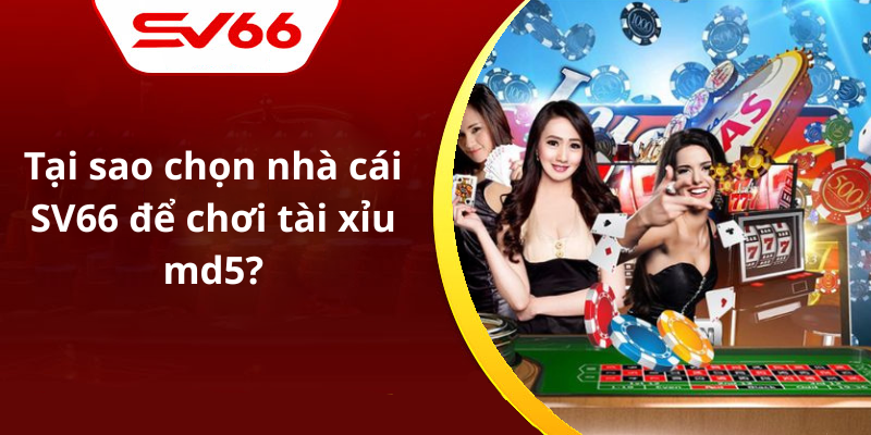 Tại sao chọn nhà cái SV66 để chơi tài xỉu md5