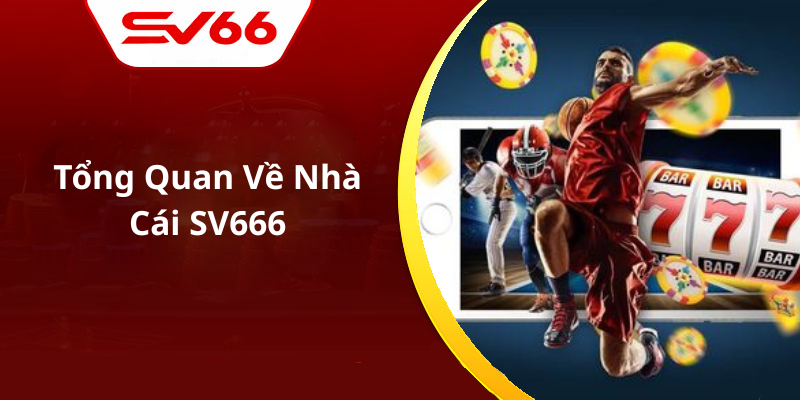 Tổng Quan Về Nhà Cái SV666