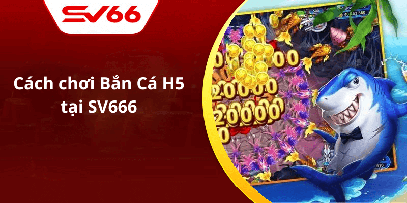 Cách chơi Bắn Cá H5 tại SV666