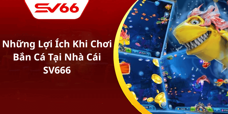 Những Lợi Ích Khi Chơi Bắn Cá Tại Nhà Cái SV666