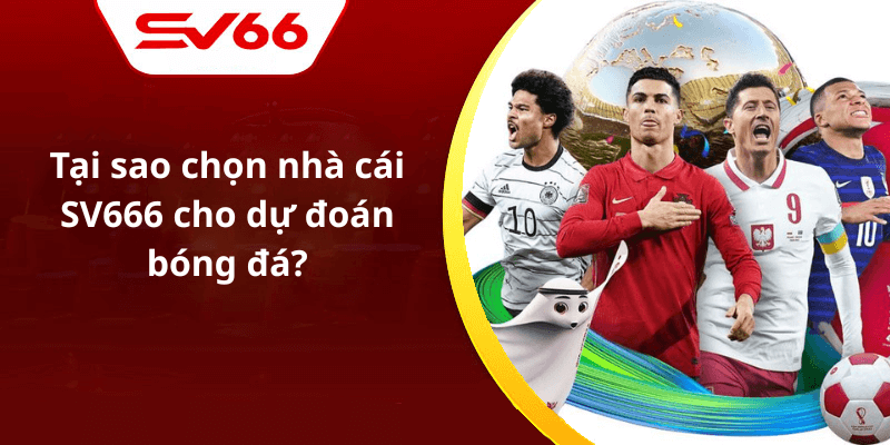 Tại sao chọn nhà cái SV666 cho dự đoán bóng đá
