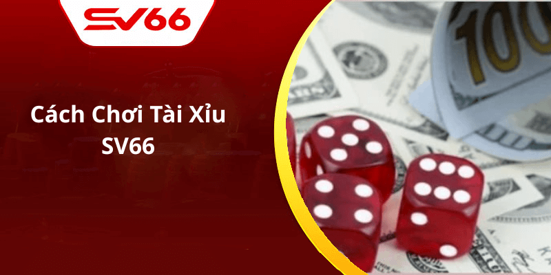 Cách Chơi Tài Xỉu SV66