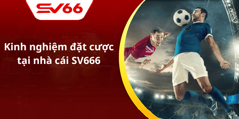 Kinh nghiệm đặt cược tại nhà cái SV666