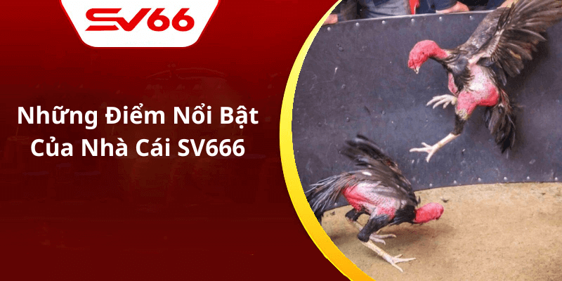Những Điểm Nổi Bật Của Nhà Cái SV666