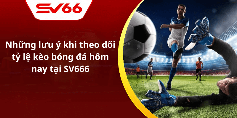 Những lưu ý khi theo dõi tỷ lệ kèo bóng đá hôm nay tại SV666