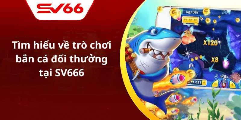 Tìm hiểu về trò chơi bắn cá đổi thưởng tại SV666