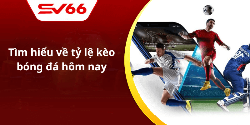 Tìm hiểu về tỷ lệ kèo bóng đá hôm nay
