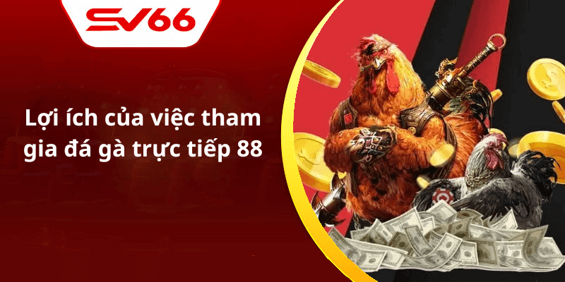 Lợi ích của việc tham gia đá gà trực tiếp 88