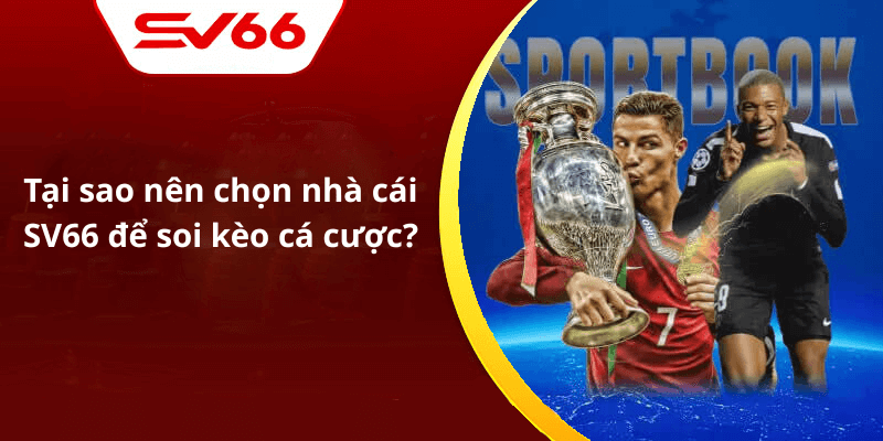 Tại sao nên chọn nhà cái SV66 để soi kèo cá cược